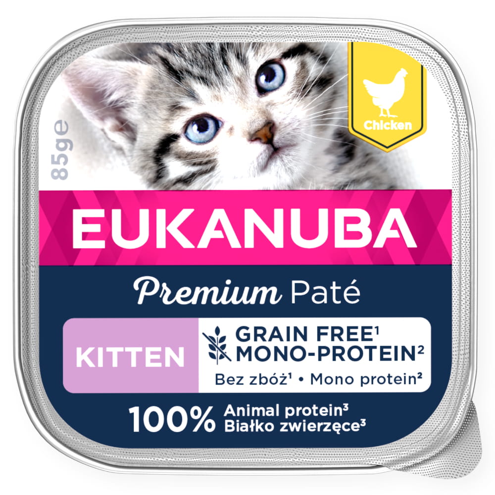kitten kurczak2.JPG